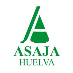 316414331 111895315077781 4465569147307939083 n